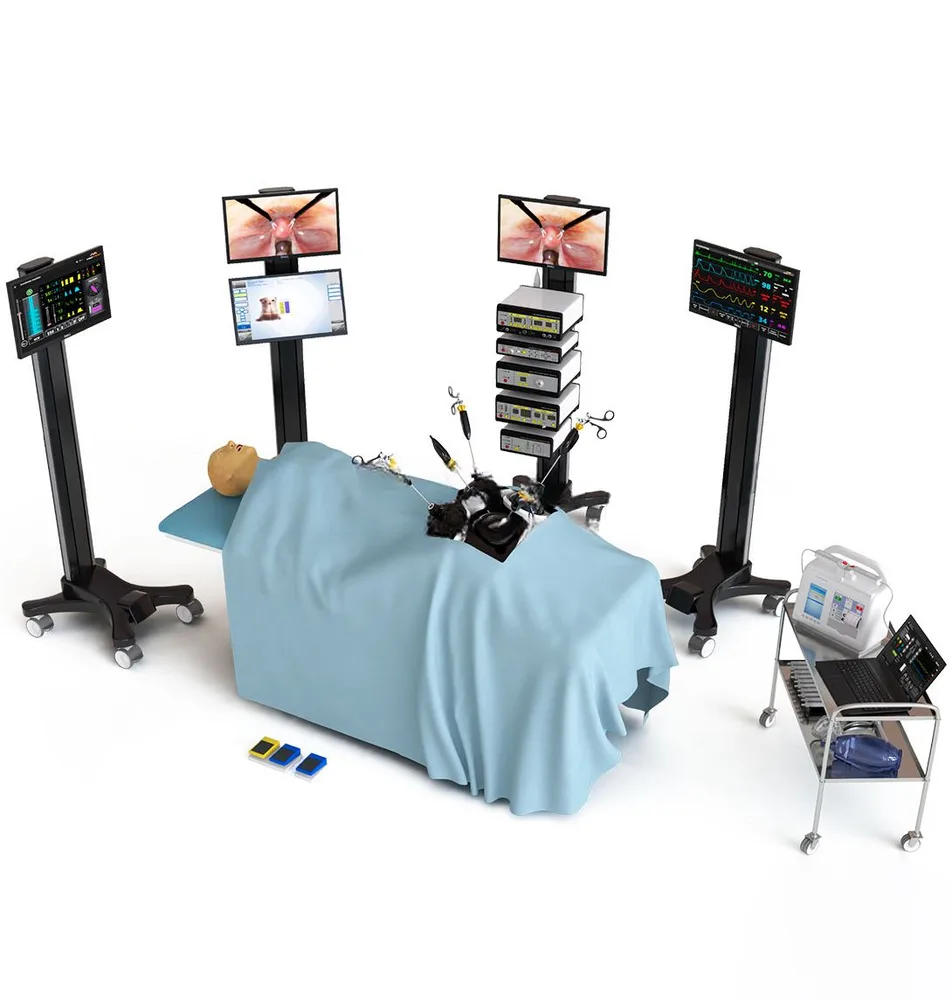 Симулятор лапароскопии MedVision LapVision, фото 3