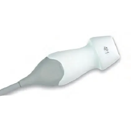 Siemens 4P1 секторный датчик УЗИ, фото 1